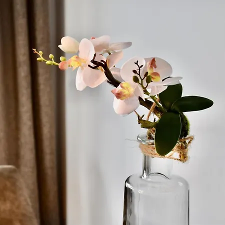 Meerblickappartement In